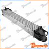 Intercooler pour RENAULT | CNG-RE-009, 96546